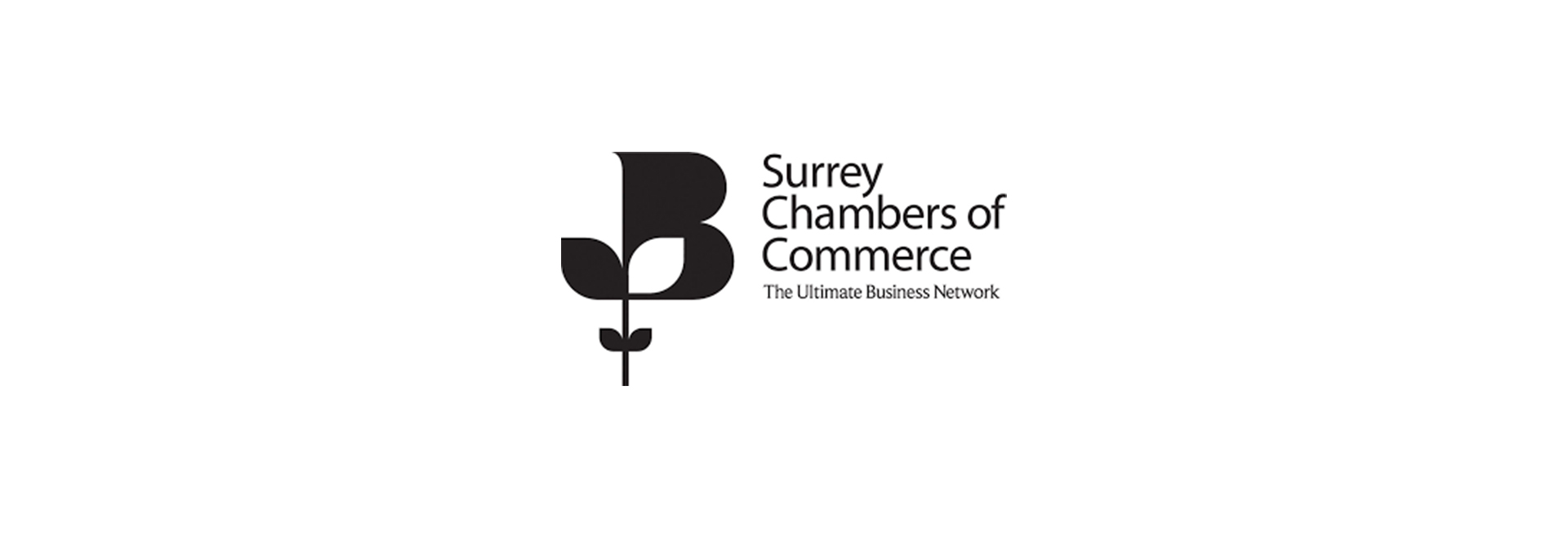 Surrey Cham Commerce Brand Strategy